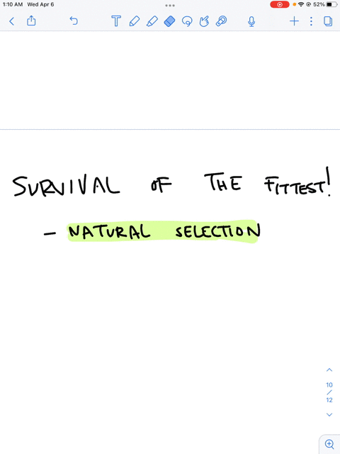 question-10-1pts-the-process-of-evolution-that-occurs-when-certain-phenotypes-confer-an-advantage-or-disadvantage-in-survival-andor-reproductive-success-is-called-gene-flow-genetic-drift-nat-70505