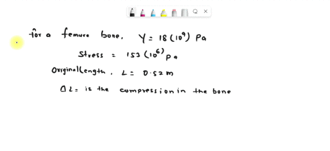 bone-has-a-youngs-modulus-of-about-18-109-pa-under-compression-it-can-withstand-a-stress-of-about-153-106-pa-before-breaking-assume-that-a-femur-thigh-bone-is-052-m-long-and-calculate-the-am-34111