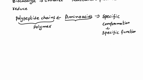 explain-what-it-means-for-an-enzyme-to-become-denatured-and-how-this-could-happen-89152