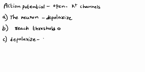 22-blocking-the-opening-of-the-voltage-gated-potassium-channels-after-depolarization-to-threshold-has-occurred-would-cause-which-of-the-following-changes-to-the-action-potential-a-the-neuron-66603