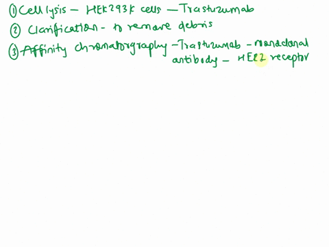 in-laboratory-describe-step-by-step-how-do-you-purify-protein-trastuzumab-or-herceptin-by-using-akta-pure-and-chromatographies-you-have-produced-protein-trastuzumab-intracellularly-in-hek293-73864