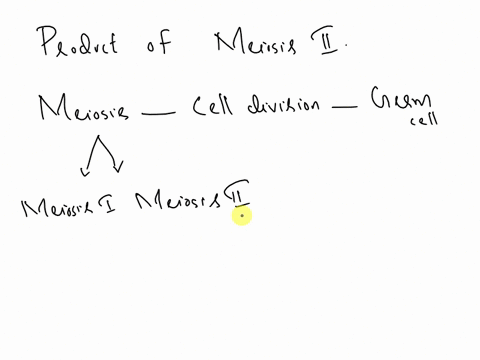 what-is-the-product-of-meiosis-2-39243