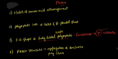 the-fully-folded-structure-of-a-functional-protein-composed-of-a-single-polypeptide-chain-is-referred-to-as-the-_____-structure-27662