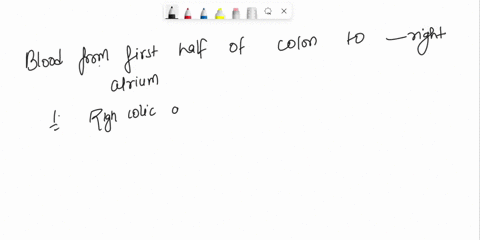 please-help-me-question-16-5-pts-trace-a-blood-cell-from-the-first-half-of-the-colon-to-the-right-atrium-hintthere-should-be-6-vesselsorgans-including-the-right-atriumdo-not-count-the-colon-98237