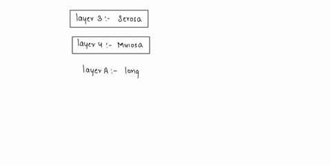 label-all-the-layers-and-structures-of-the-gastrointestinal-tract-the-walls-of-the-gastrointestinal-tract-have-four-typical-layers-ortunics-identify-each-layer-mucosasubmucosamuscularisor-se-66794