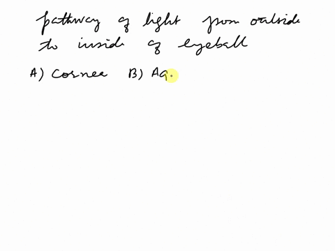arrange-the-given-structures-in-the-correct-sequence-of-pathway-of-light-from-outside-to-inside-the-eyeball-of-human-eyea-lensb-aqueous-humourc-vitreous-humourd-corneachoose-the-correct-sequ-03207