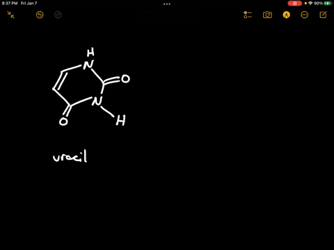 show-how-uracil-can-form-strong-hydrogen-bonds-to-adenine-2-15815