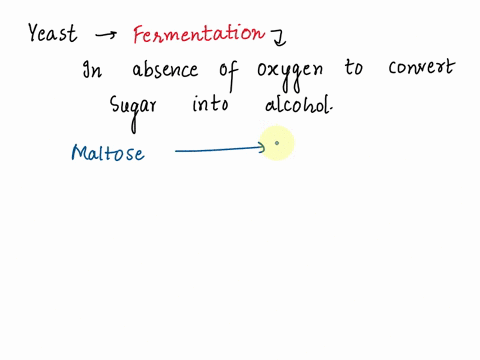 assume-you-are-working-for-a-chemical-company-and-are-responsible-for-growing-a-yeast-culture-that-produces-ethanol-the-yeasts-are-growing-well-on-the-maltose-medium-but-are-not-producing-al-47038