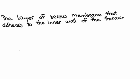 ribs-7-what-layer-of-serous-membrane-adheres-to-the-inner-wall-of-the-thoracic-cavity-visceral-pleura