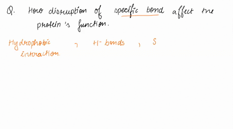determine-how-the-disruption-of-specific-types-of-chemical-bonds-affects-protein-function-97564