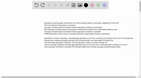 question-13-epinephrine-and-glucagon-have-which-one-of-the-following-effects-on-glycogen-metabolism-in-the-liver-the-net-synthesis-of-glycogen-is-increased-glycogen-phosphorylase-is-activale-67086