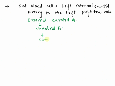 trace-the-flow-of-a-red-blood-cell-from-the-left-internal-carotid-artery-to-the-left-popliteal-vein-include-all-blood-vessels-and-parts-of-organs-that-the-blood-passes-through-45524