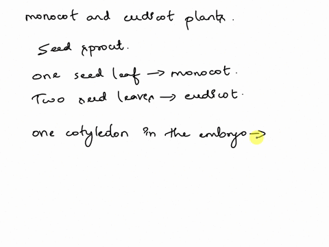 question-54-indicate-whether-each-of-these-characteristics-is-found-in-eudicots-or-monocots-one-cotyledon-in-the-erbryo-choose-two-cotyledons-in-the-embryo-choose-veins-that-are-usually-para-01707