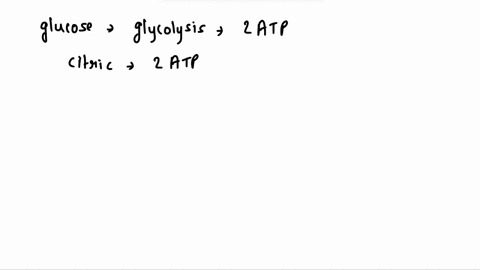 for-each-glucose-molecule-glycolysis-produces-net-atp-the-citric-acid-cycle-produces-molecules-of-atp-and-oxidative-phosphorylation-produces-molecules-of-atp-92146