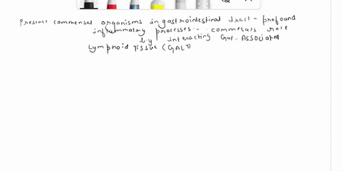 28-the-presence-of-commensal-organisms-in-the-gi-tract-and-their-interaction-with-galt-results-in-the-production-of-exotoxins-increases-inflammatory-processes-suppresses-inflammatory-process-42273