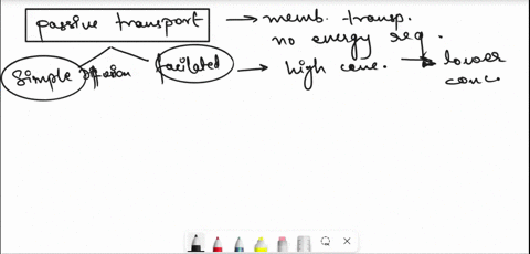why-is-simple-diffusion-and-facilitated-diffusion-considered-passive-transport-the-phospholipid-bilayer-is-not-selectively-permeable-when-diffusion-and-facilitated-diffusion-take-place-b-atp-11442