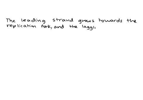 how-does-the-synthesis-of-a-daughter-dna-strand-growing-toward-a-replication-fork-differ-from-the-syn-thesis-of-a-daughter-dna-strand-growing-away-from-a-replication-fork-49386