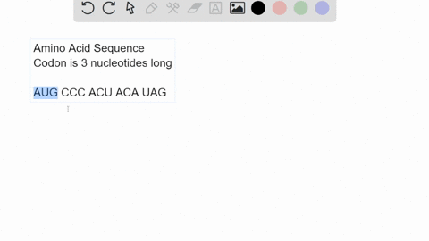 an-mrna-strand-contains-the-following-nucleotide-sequence-augcccacuacauag-what-amino-acid-sequence-does-this-mrna-code-for-31469