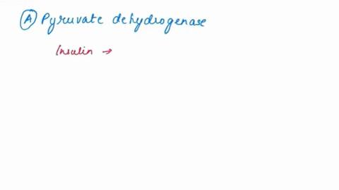 the-activity-of-which-enzyme-would-be-expected-to-increase-as-levels-of-insulin-increase-a-pyruvate-dehydrogenase-b-pyruvate-carboxylase-c-glucose-6-phosphatase-d-glycogen-phosphorylase-e-pe-03005