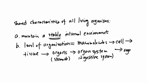 the-characteristics-that-are-shared-by-all-living-organisms-include-ability-to-maintain-an-internal-environment-levels-of-organization-ability-to-reproduce-and-develop-ability-to-communicate-ability-t