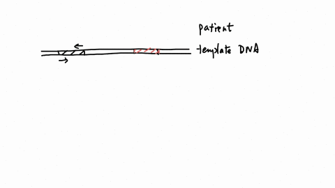 you-decide-to-use-pcr-to-determine-if-a-patient-has-influenza-a-viral-respiratory-infection-you-then-decide-to-also-check-if-the-patient-could-be-infected-by-the-rhinovirus-another-viral-res-89202