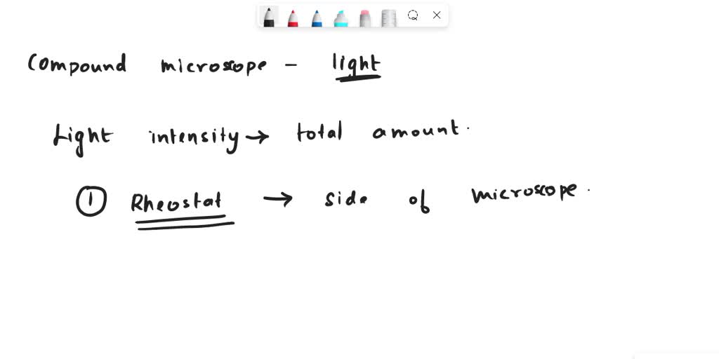 what does the light intensity control do on a microscope