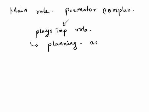 hmhelmotor-system-the-main-role-of-the-premotor-cortex-is-to-knonalpithe-possibilities-hllisimulatelaplan-of-action-executeithe-movements-modulete-the-movements-produced-by-the-primary-motor-80831