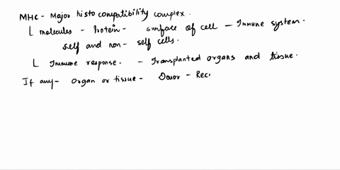 why-might-different-mhc-i-molecules-between-donor-and-recipient-cells-lead-to-rejection-of-a-transpl-88407
