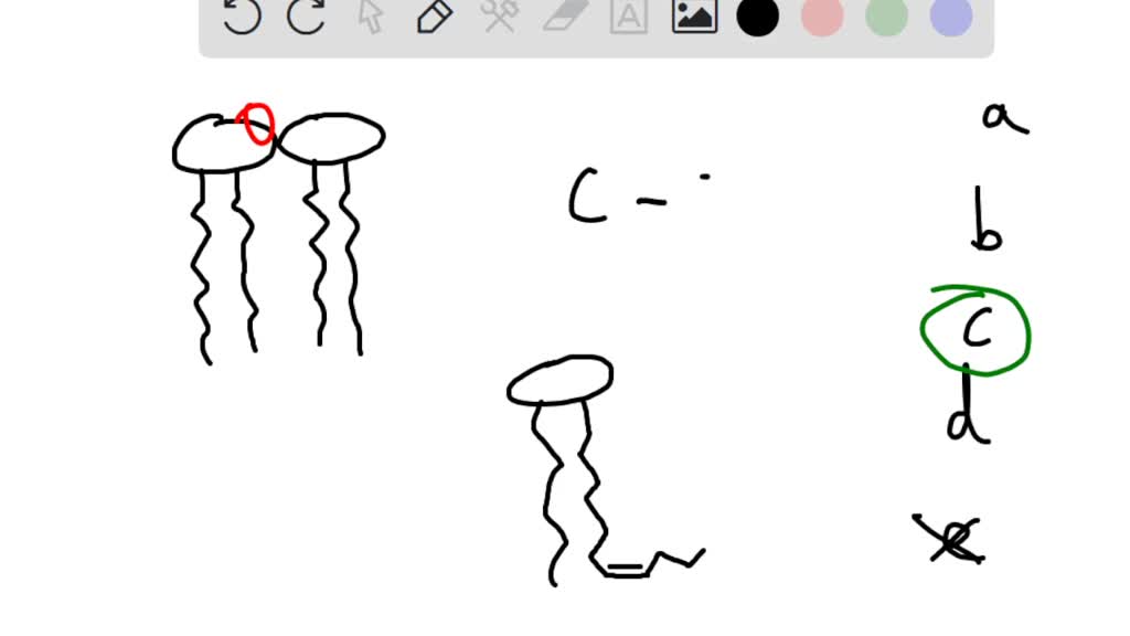 SOLVED: Unsaturated phospholipids ... increase membrane stiffening ...