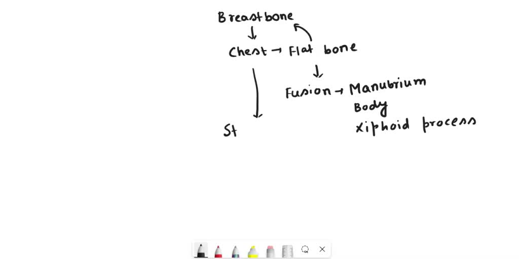 Solved Costal Cartilage Is Used To Join The Axis And Atlas The