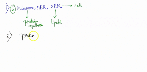 1-of-the-following-organelles-which-group-is-involved-in-manufacturing-substances-needed-by-the-cell-a-lysosome-vacuole-ribosome-b-ribosome-rough-er-smooth-er-c-vacuole-rough-er-smooth-er-d-72184