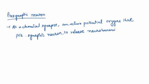 which-neuron-releases-neurotransmitters-at-the-synapse-presynaptic-neuron-postsynaptic-neuron-44305