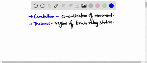 choose-the-correct-linkages-between-brain-region-and-function-cerebellum-coordination-of-movement-thalamus-somatosensory-corlex-corobral-cortex-emotions-hippocampus-control-ot-hunger-and-ihi-74463