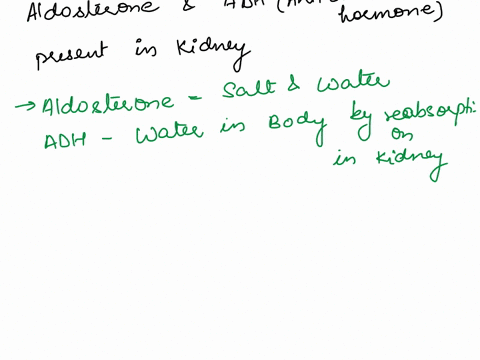 what-is-the-role-of-adh-and-aldosterone-in-maintaining-blood-volume-and-describe-the-mechanism-by-which-adh-helps-water-reabsorption-67476
