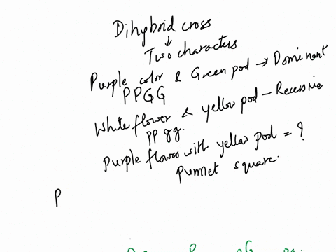 the-following-is-a-dihybrid-cross-a-pea-plant-with-purple-flowers-and-green-pods-is-crossed-with-a-pea-plant-with-white-flowers-and-yellow-pods-the-f1-plants-all-have-purple-flowers-and-gree-39315