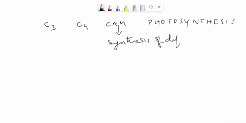 describe-the-main-differences-between-c3-c4-and-cam-photosynthesis-this-can-include-things-like-internal-structures-reasons-for-differences-and-advantagesdisadvantages-for-each-photosynthesi-67406