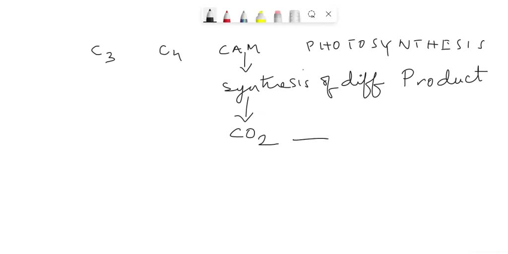 SOLVED Describe the main differences between C3, C4, and CAM