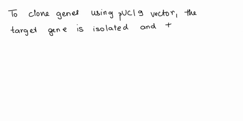 4-when-cloning-genes-using-puc19-vector-what-two-properties-d-you-know-about-the-bacteria-in-blue-colony-on-a-plate-containing-xgal-1-2-b-why-does-a-vector-have-a-mcr-site-in-order-to-be-usf-47873