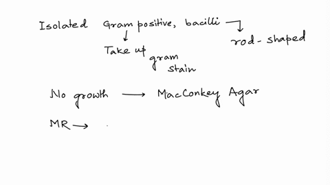 identify-the-pathogen-with-its-associated-food-source-based-on-the-scenario-data-given-below-h-stored-refrigerated-rice-isolated-gram-bacilli-2-no-growth-on-macconkey-agar-3-following-tests-32947
