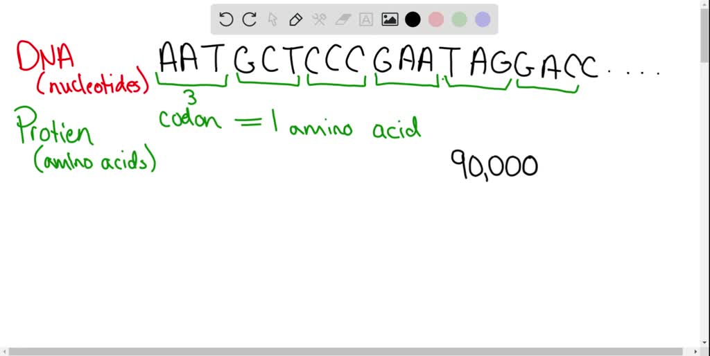 SOLVED A eukaryotic gene, beginning at its transcription start site