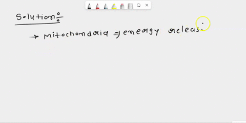 identify-the-term-that-best-matches-the-definition-or-statement-given-releases-energy-in-the-cell-contains-the-chromosomes-makes-sugar-and-oxygen-from-water-carbon-dioxide-and-sunlight-1-chl-92889