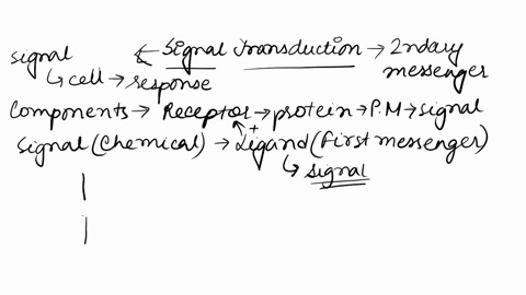question-ofll7-which-of-the-molecules-are-used-as-second-messengers-in-signal-transduction-pathways-calcium-ions-camp-epinephrine-g-protein-d-i-4doui-87208