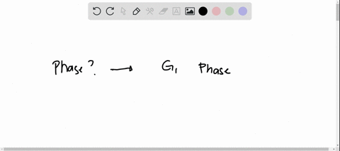 the-phase-of-the-cell-cycle-where-the-primary-growth-of-the-cell-occurs-and-the-cell-decides-if-it-will-divide-is-the-______-phase-52298