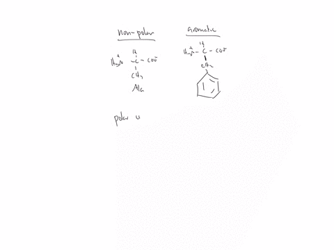 name-and-draw-the-side-chain-of-one-amino-acid-from-each-of-the-following-categories-non-polar-aromatic-polar-uncharged-basic-ve-charge-at-ph-7-acidic-ve-charge-at-ph-7-question-2-amino-acid-00042