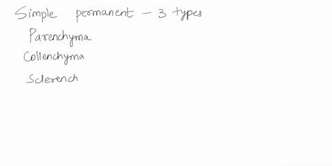name-the-types-of-simple-permanent-tissue-of-plants-which-give-roughness-and-rigidity-to-the-different-parts-of-the-plant-15416