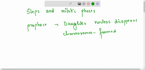 use-your-knowledge-of-what-occurs-during-mitosls-to-determine-in-which-stage-ihe-following-steps-occur-daughter-nucleus-disappears-chromosomes-are-iormed-daughler-cells-lorm-sister-chromatid-51791