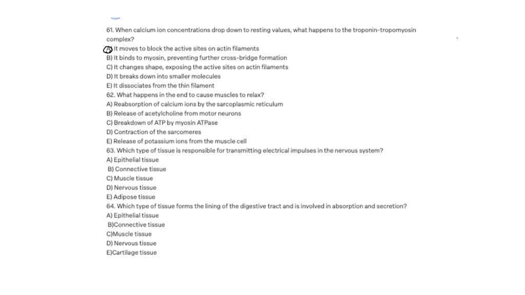 Nervous Tissue nervous-tissue