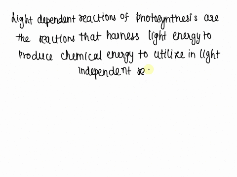 what-products-are-made-in-the-light-dependent-reactions-of-photosynthesis-the-electron-transport-chain-select-all-that-apply-a-nadph-b-co2-c-h2o-d-o2-e-glucose-i-thought-it-was-a-d-and-e-but-03013