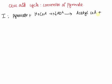 in-order-to-enter-the-citric-acid-cycle-pyruvate-is-first-converted-to-select-one-citrate-b-acetyl-coa-oxaloacetate-ethanol-acetaldehyde-56689