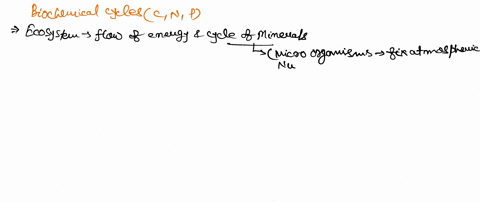 which-process-plays-an-important-role-in-the-biogeochemical-cycles-of-carbon-nitrogen-and-phosphorus-63102